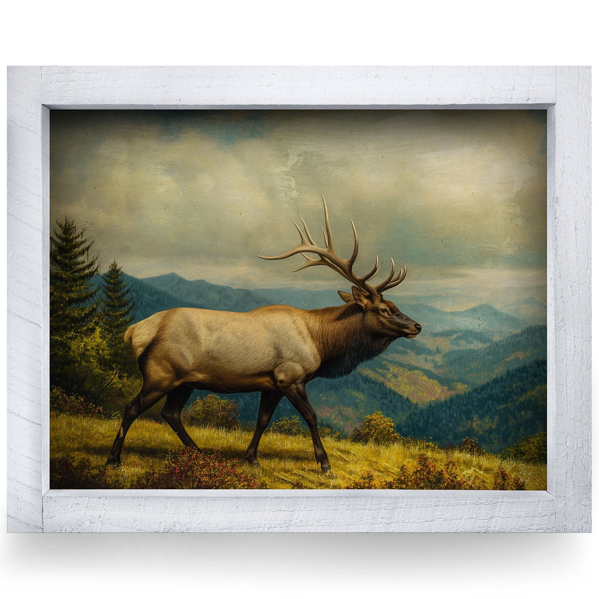 Rustic White frame