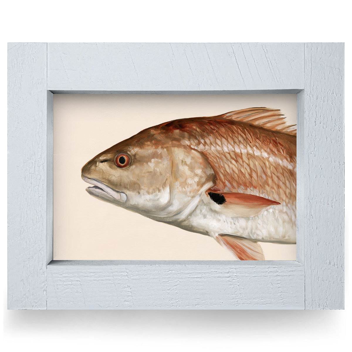 Redfish Portrait | Real Wood Framed Wall Art Print