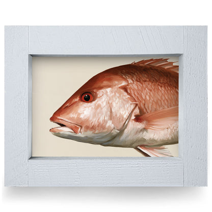 Red Snapper Portrait | Real Wood Framed Wall Art Print