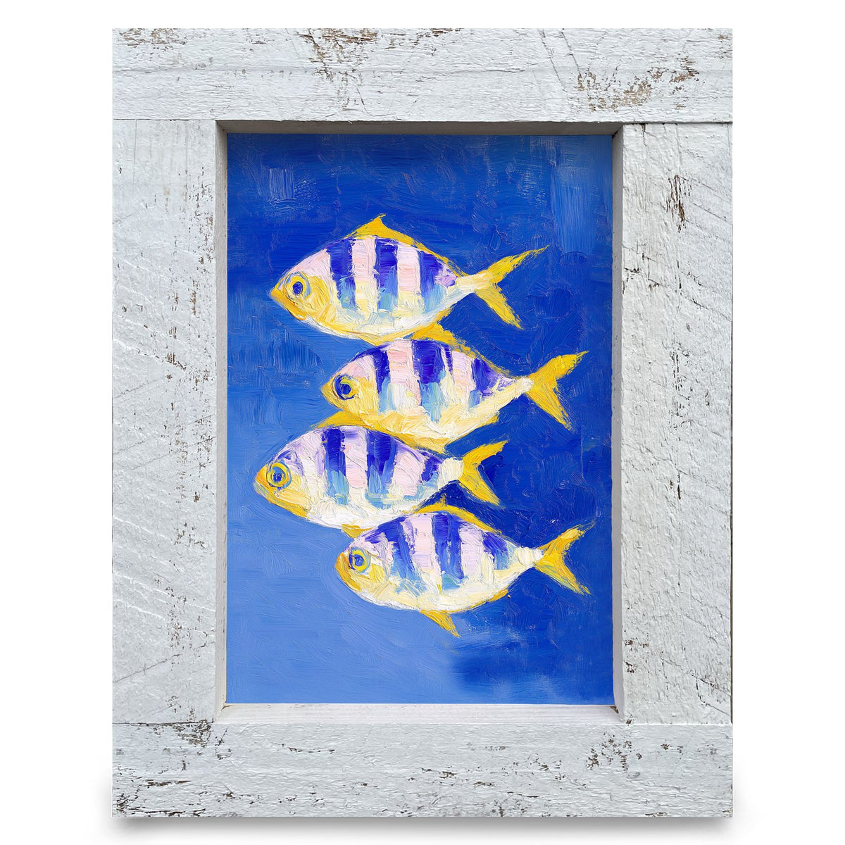 Striped Fish Quartet | Real Wood Framed Wall Art Print