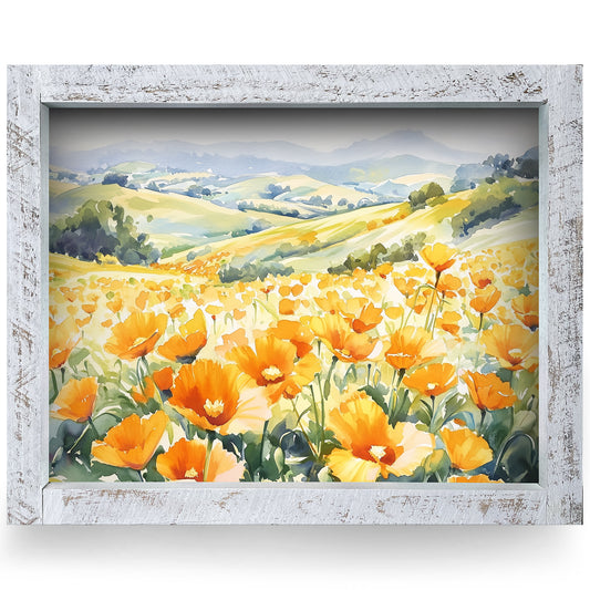 California Poppies | Real Wood Framed Wall Art Print | Horizontal