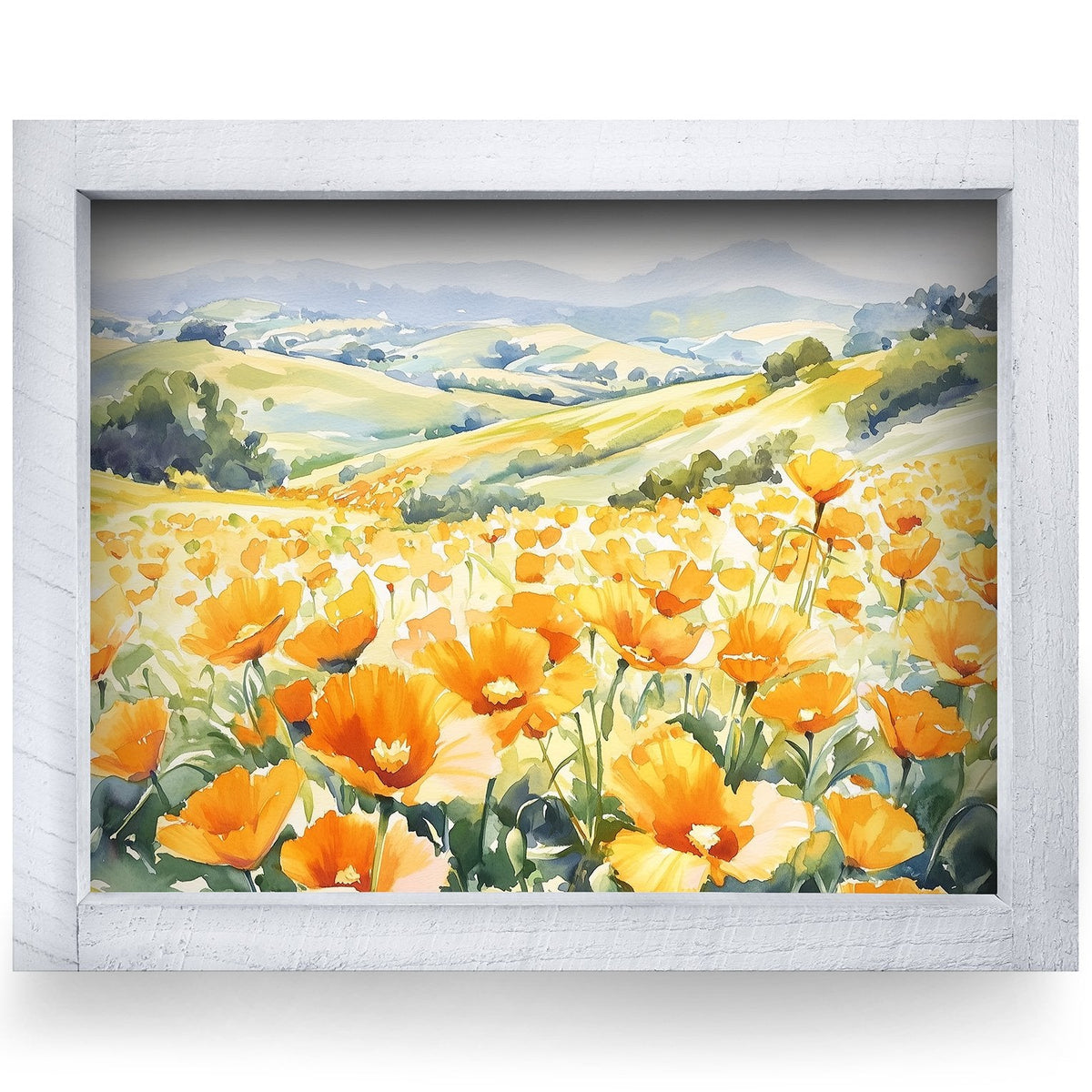 Rustic White frame