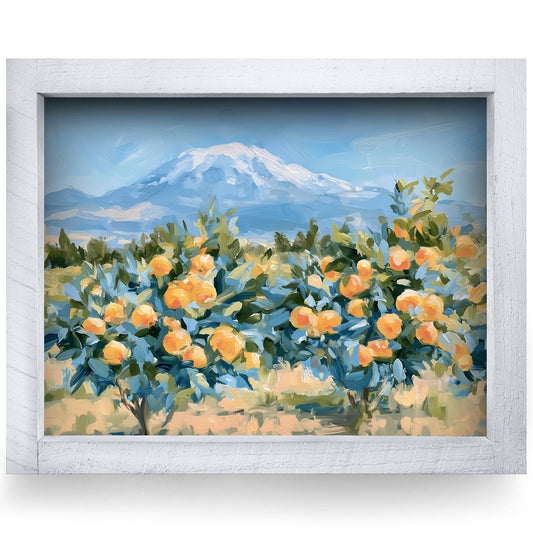 Rustic White frame