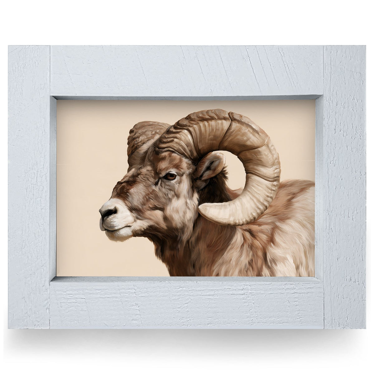 Bighorn Ram Portrait | Real Wood Framed Wall Art Print