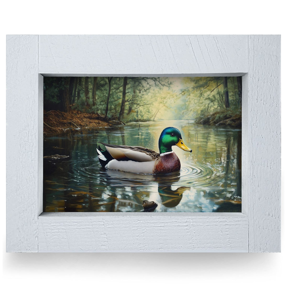Mallard Afloat | Real Wood Framed Wall Art Print