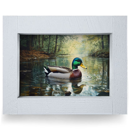 Mallard Afloat | Real Wood Framed Wall Art Print