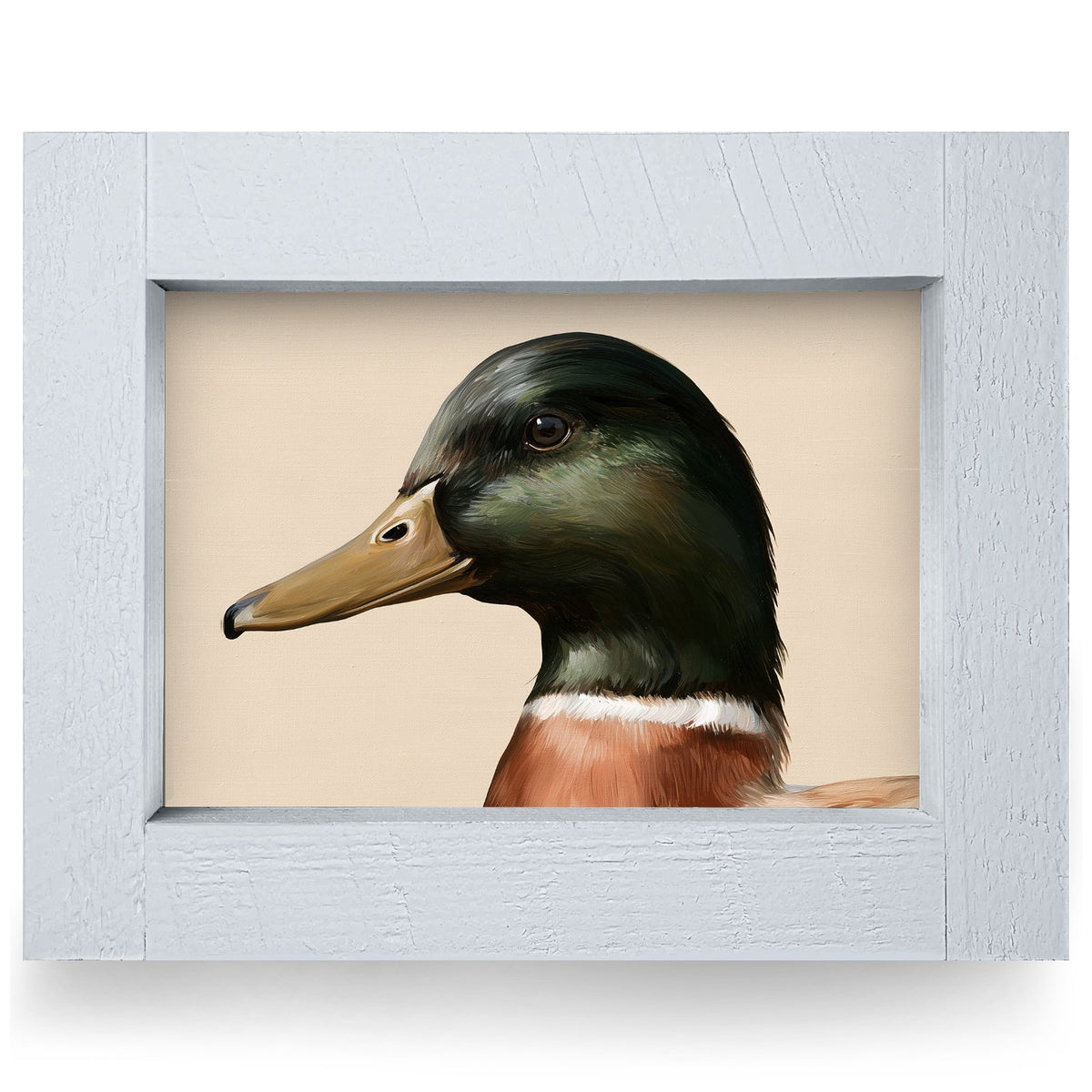 Mallard Drake Portrait | Real Wood Framed Wall Art Print