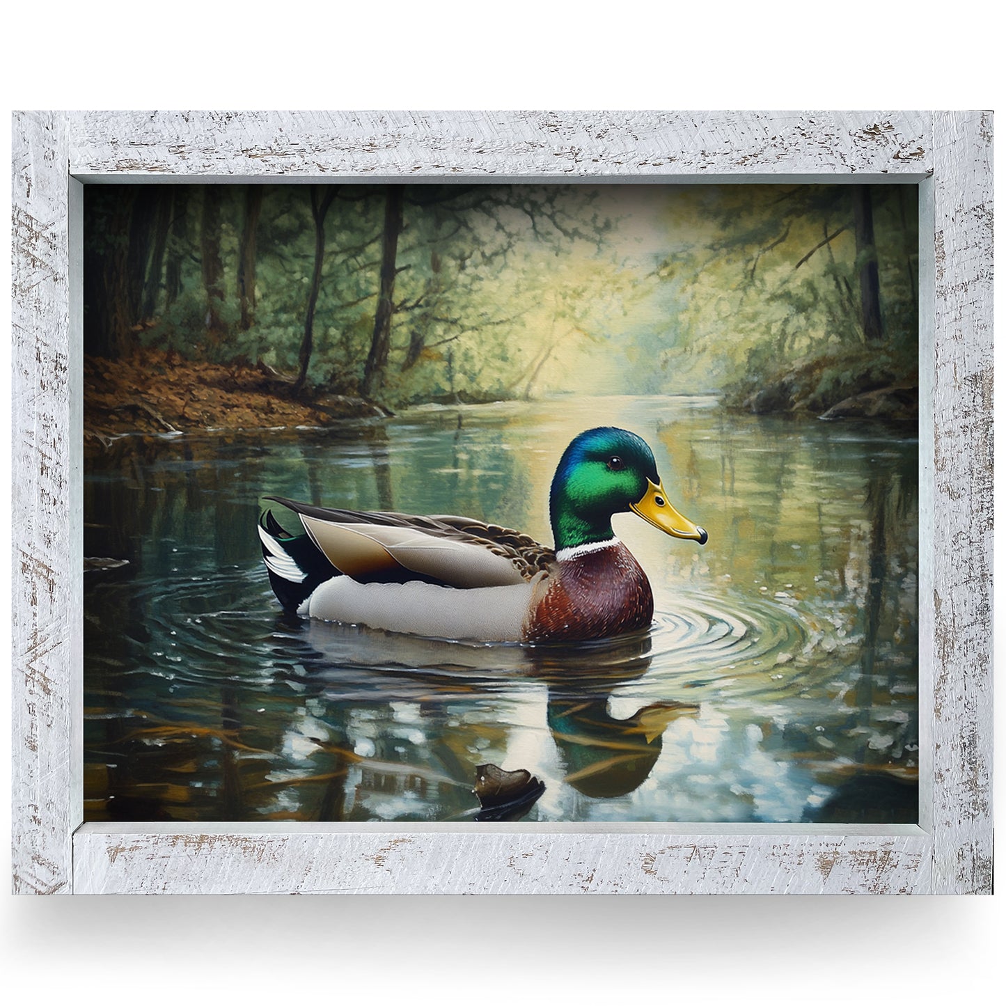 Mallard Afloat | Real Wood Framed Wall Art Print