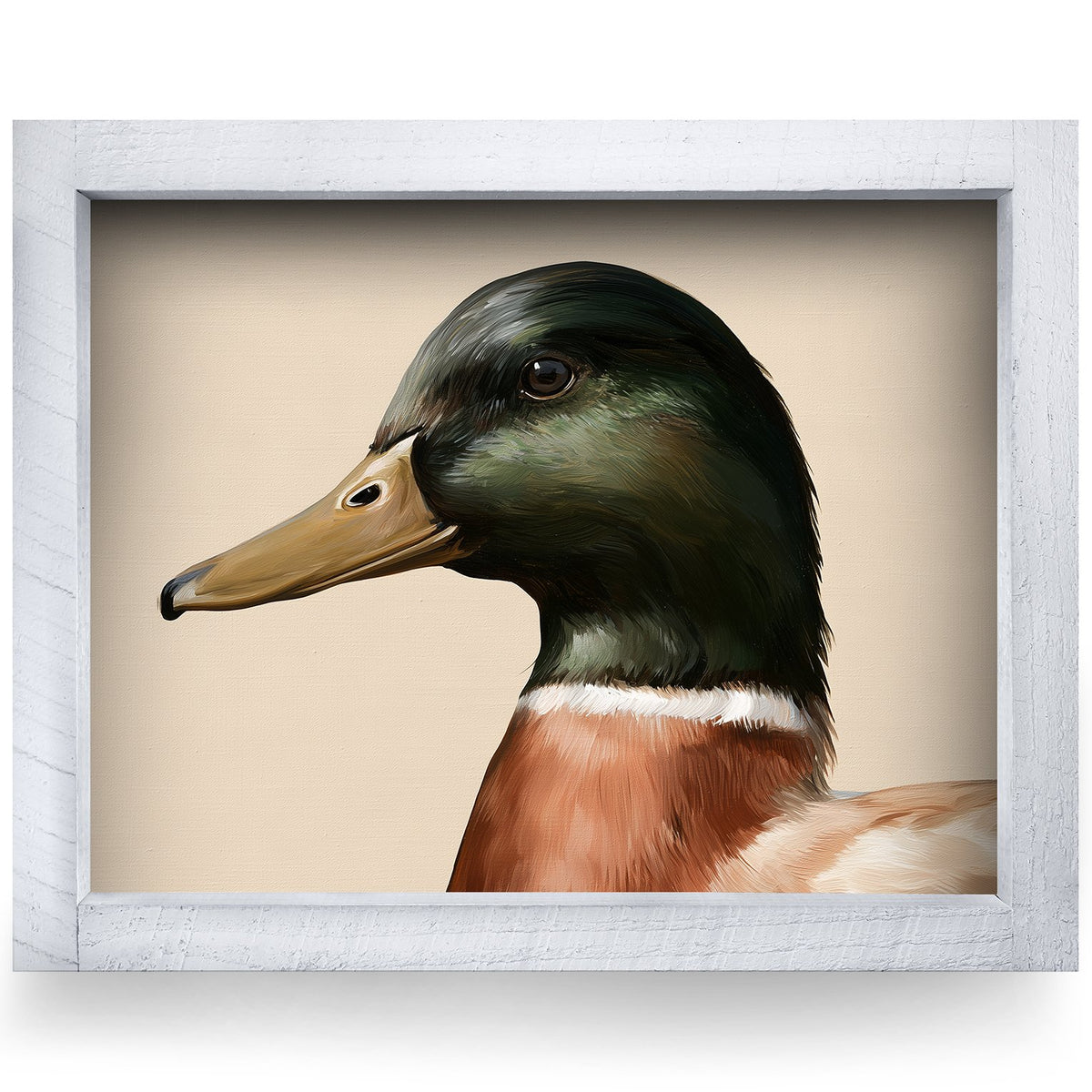 Mallard Drake Portrait | Real Wood Framed Wall Art Print