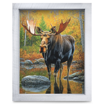Rustic White frame