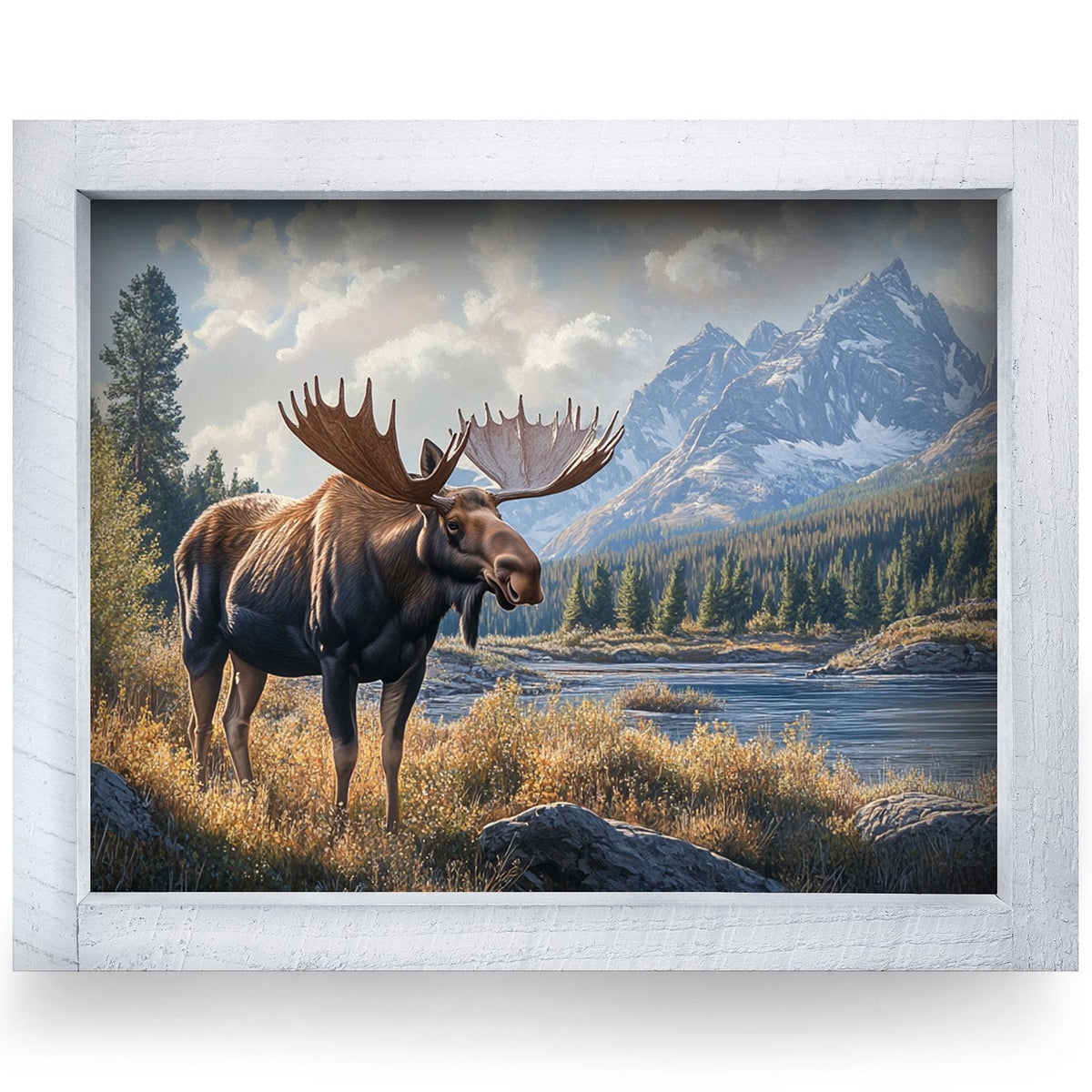 Rustic White frame