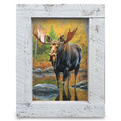 Autumn Pond Moose | Real Wood Framed Wall Art Print