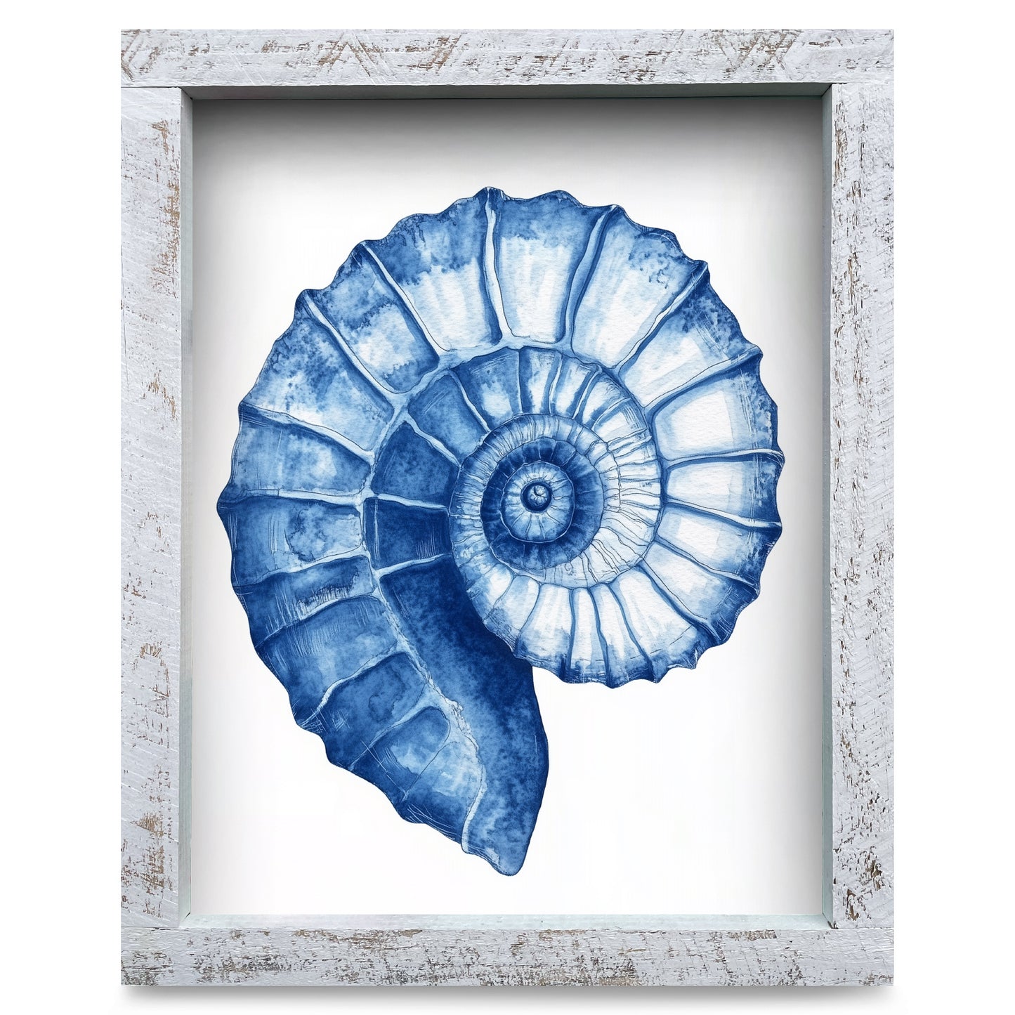 Watercolor Navy Mollusk Shell  | Real Wood Framed Wall Art Print