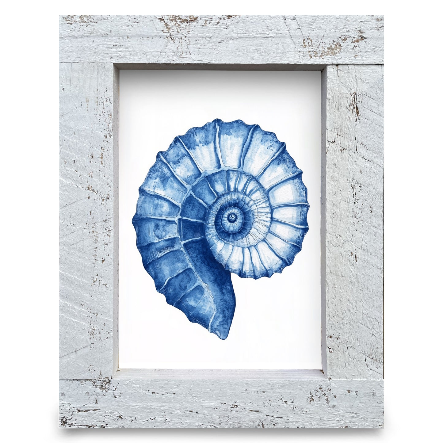 Watercolor Navy Mollusk Shell  | Real Wood Framed Wall Art Print