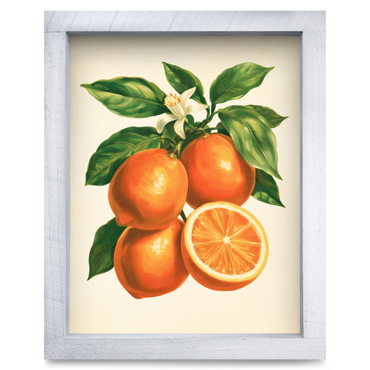 Vintage Orange Branch | Real Wood Framed Wall Art Print