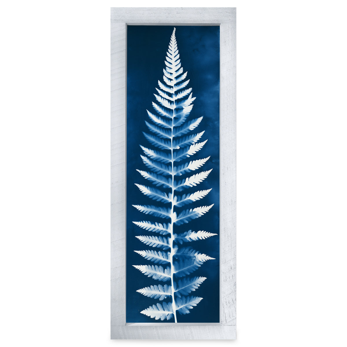 Cyanotype Fern Frond real wood framed print, rustic white frame