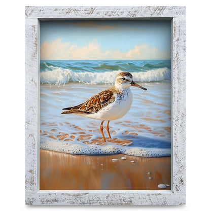 Beautiful Sandpiper | Real Wood Framed Wall Art Print