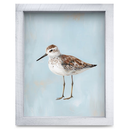 Rustic White frame