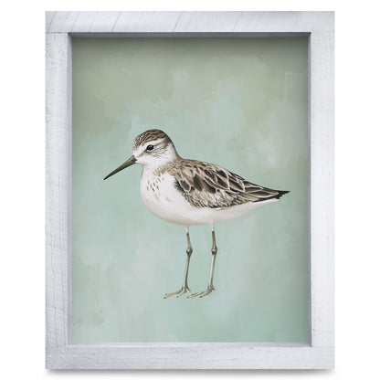 Green Sandpiper | Real Wood Framed Wall Art Print