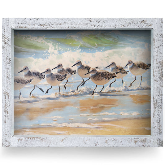 Sandpipers Splashing | Real Wood Framed Wall Art Print