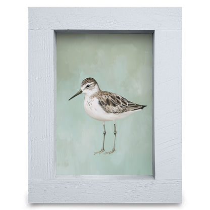 Green Sandpiper | Real Wood Framed Wall Art Print