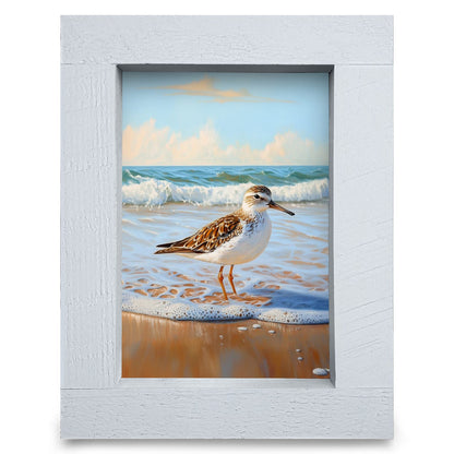 Beautiful Sandpiper | Real Wood Framed Wall Art Print