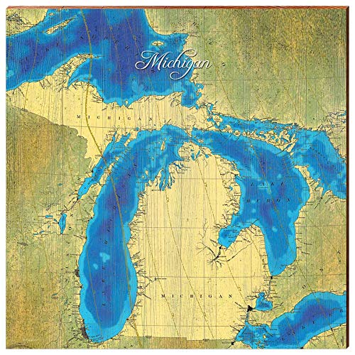 Michigan Color Map Home Decor Art Print on Real Wood