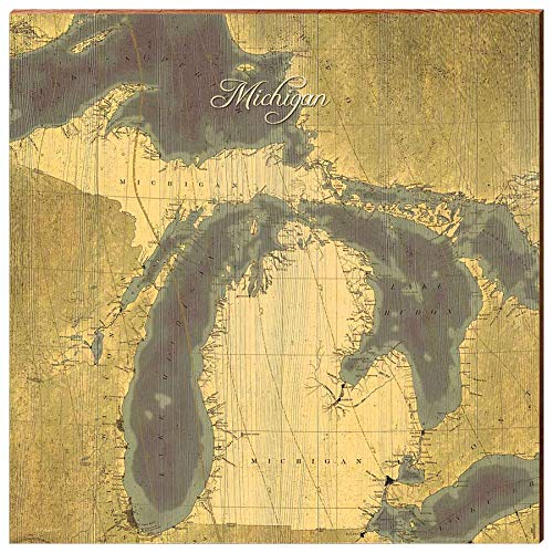 Michigan Sepia Map Home Decor Art Print on Real Wood