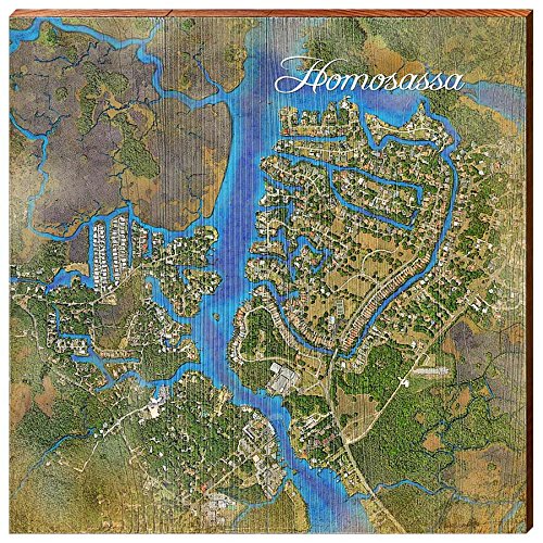 Homosassa, Florida Map Wooden Sign | Wall Art Print on Real Wood