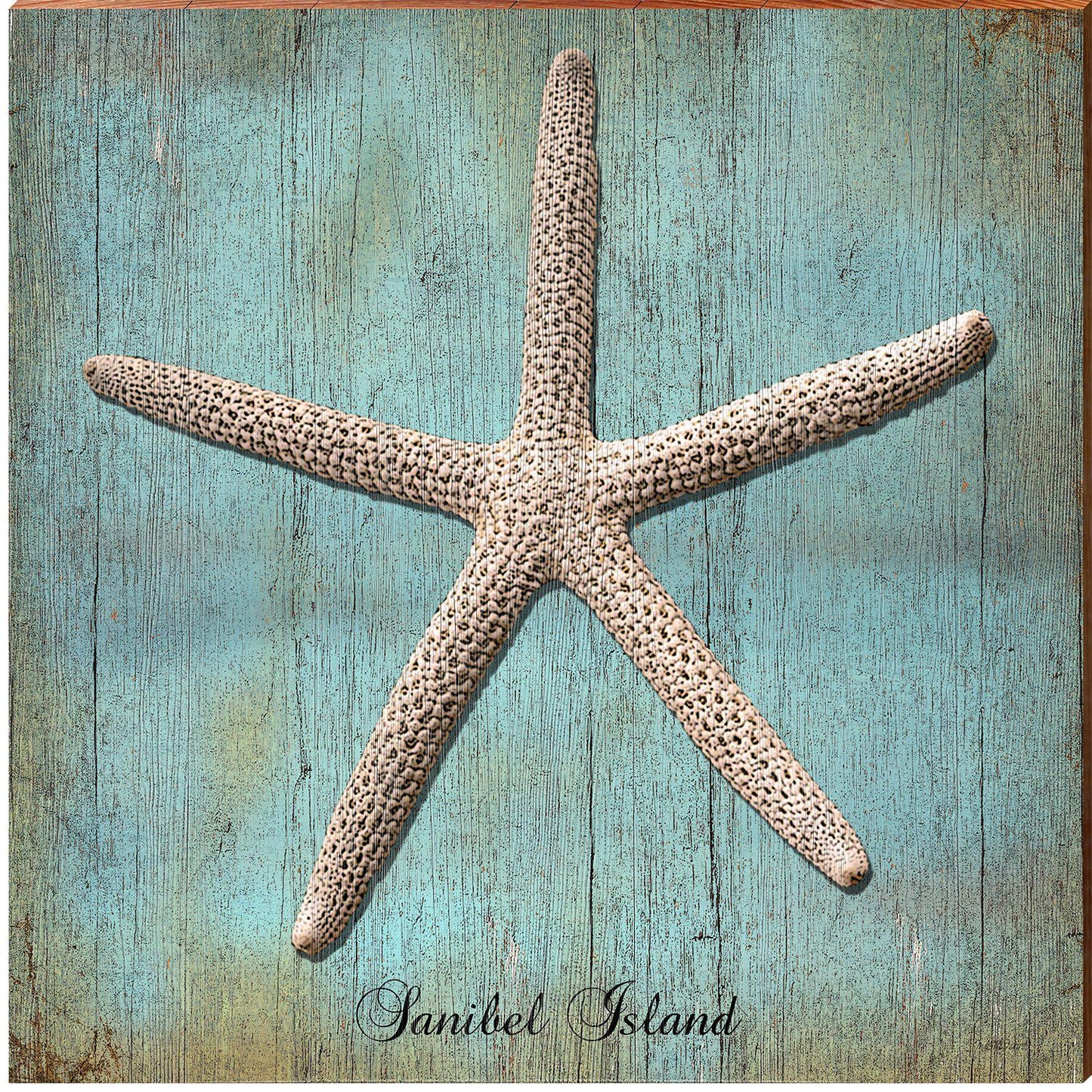 Sanibel Island Starfish | Wall Art Print on Real Wood