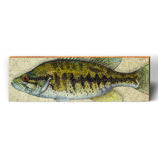 Small Mouth Bass | Wall Art Print on Real Wood