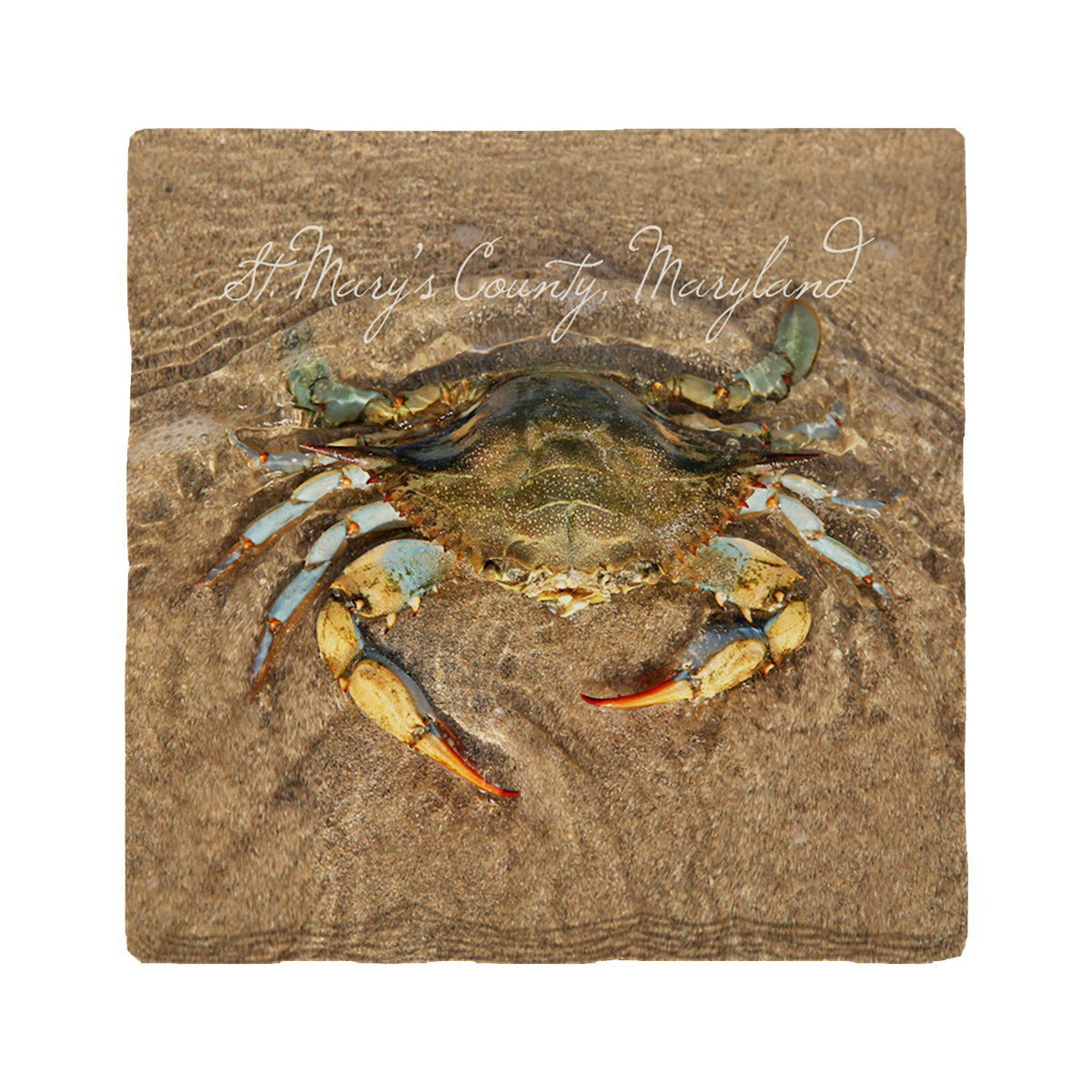 St. Mary's County, Maryland Blue Crab | Absorbent Ceramic Drink Coaster