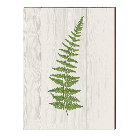 Vintage Botanical Fern Branch | Wall Art Print on Real Wood