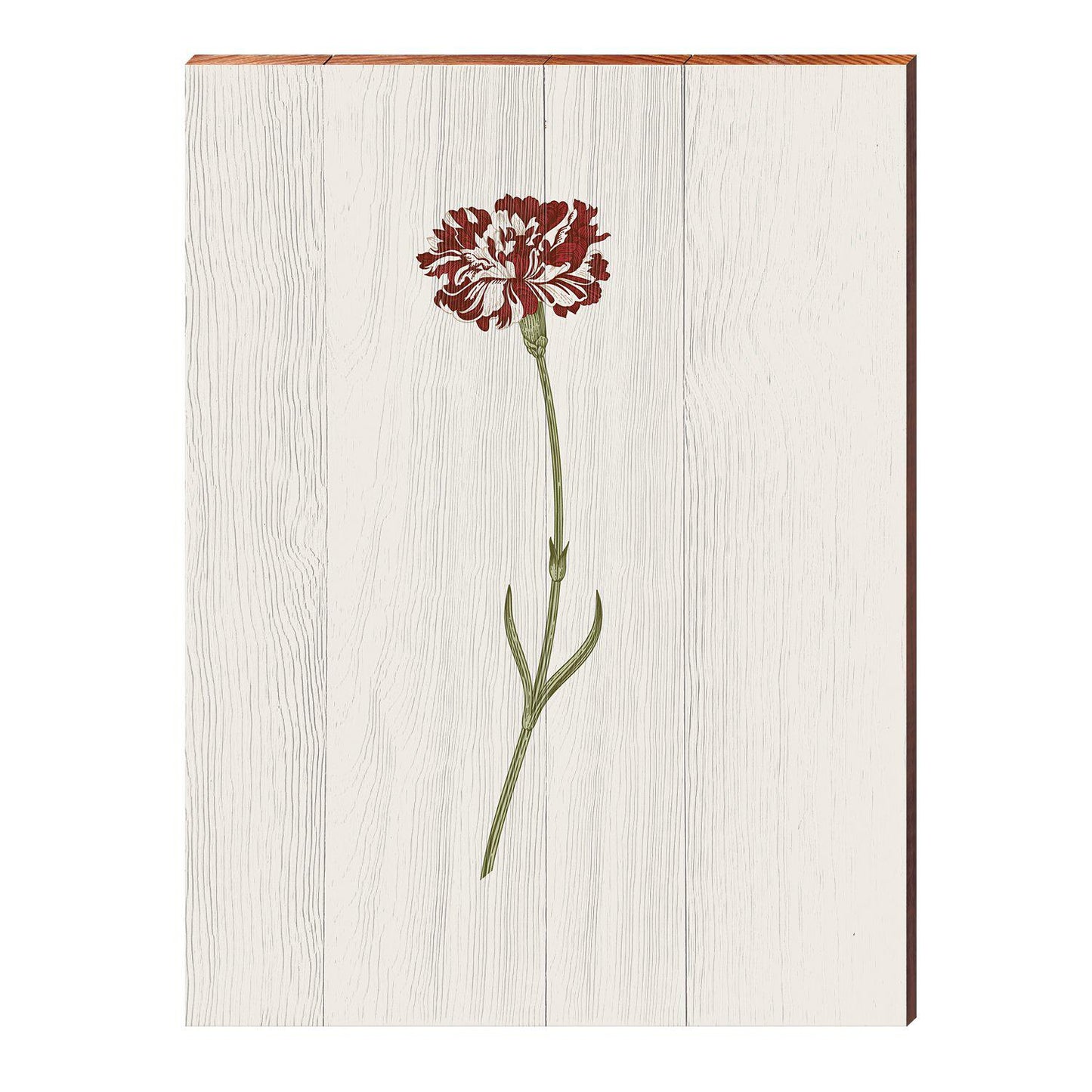 Vintage Botanical Carnation | Wall Art Print on Real Wood