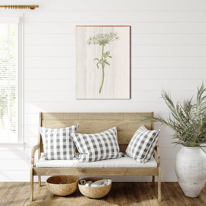 Vintage Botanical Cow Parsnip | Wall Art Print on Real Wood