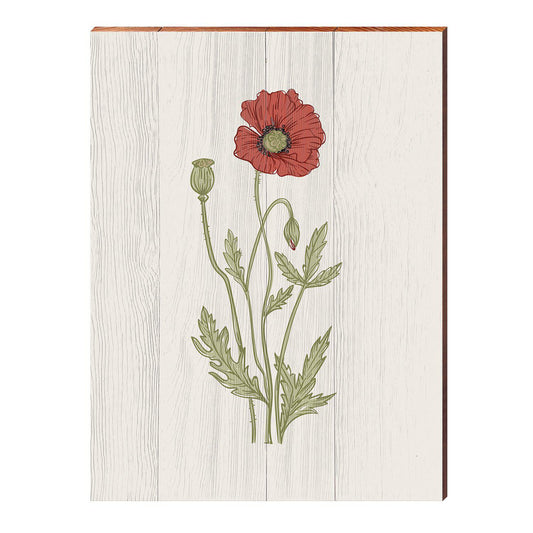 Vintage Botanical Poppy | Wall Art Print on Real Wood