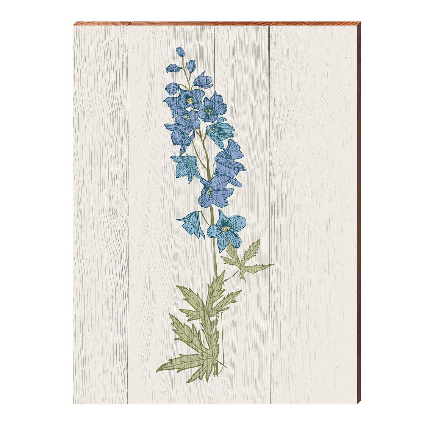 Vintage Botanical Larkspur | Wall Art Print on Real Wood