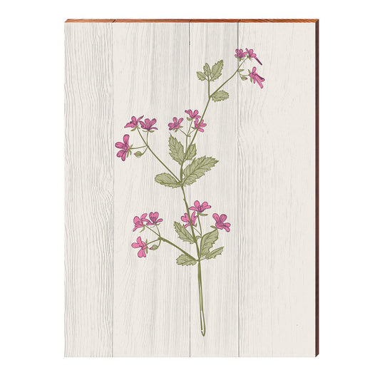 Vintage Botanical Blossom Spray | Wall Art Print on Real Wood