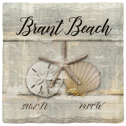 Brant Beach Triple Shells Grey | Absorbent Ceramic Drink Coaster