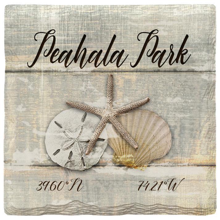 Peahala Park Triple Shells Grey | Absorbent Ceramic Drink Coaster