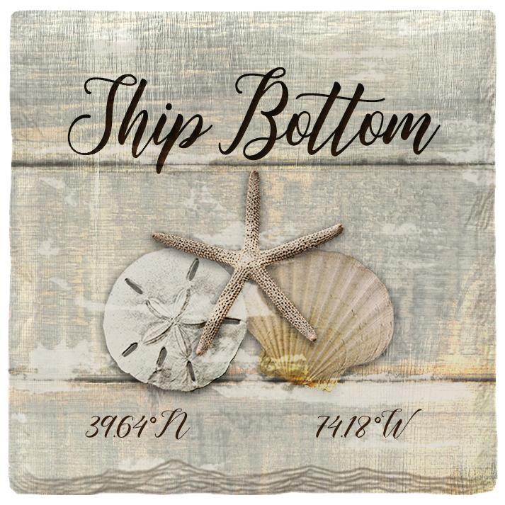 Ship Bottom Triple Shells Grey | Absorbent Ceramic Drink Coaster