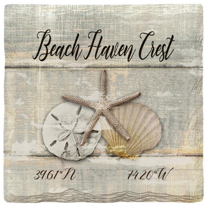 Beach Haven Crest Triple Shells Grey | Absorbent Ceramic Drink Coaster