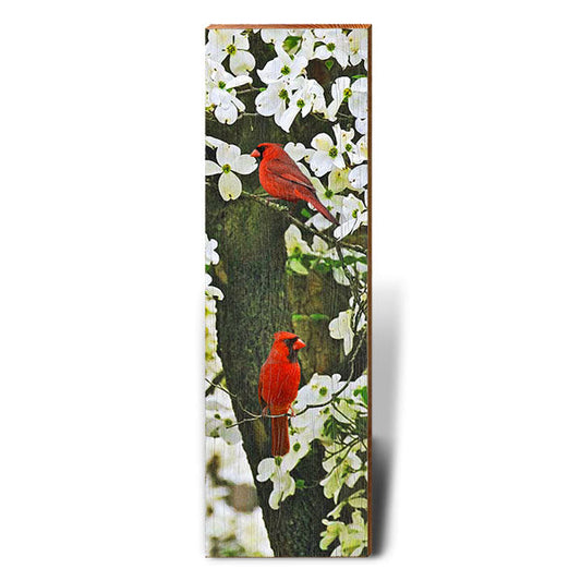 Cardinal in Dogwood