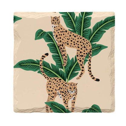 Cheetahs |Drink Coaster