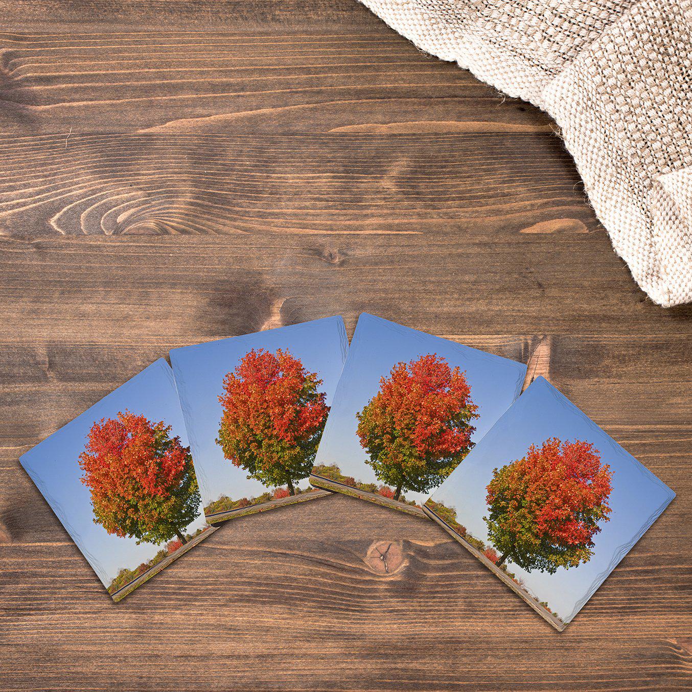 Fall Tree |Drink Coaster