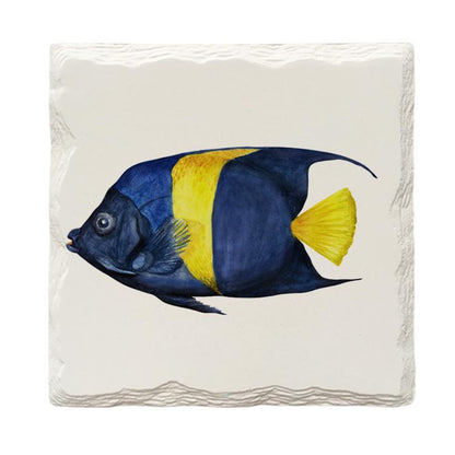 Tropical Bicolor Angelfish | Drink Coaster with Cork Backing