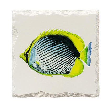 Tropical Fish |Drink Coaster