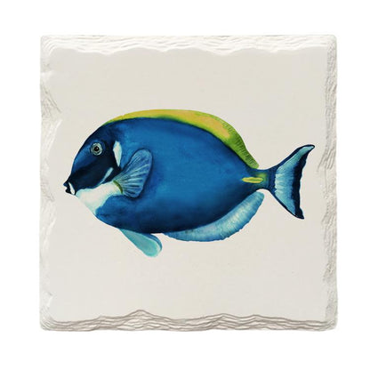 Dory Fish |Drink Coaster