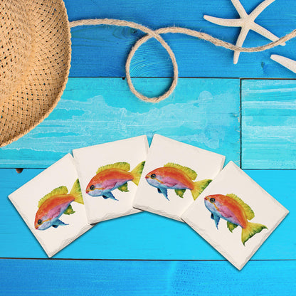 Rainbow Fish | Drink Coaster