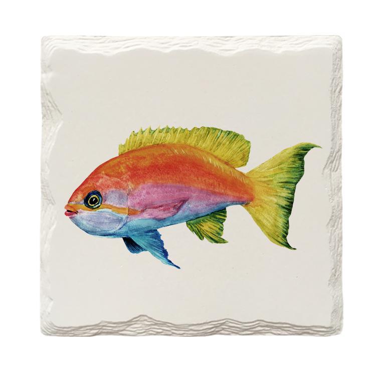 Rainbow Fish | Drink Coaster